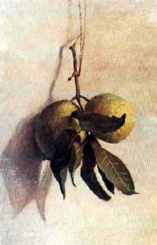 Benedito Calixto Guava Germany oil painting art